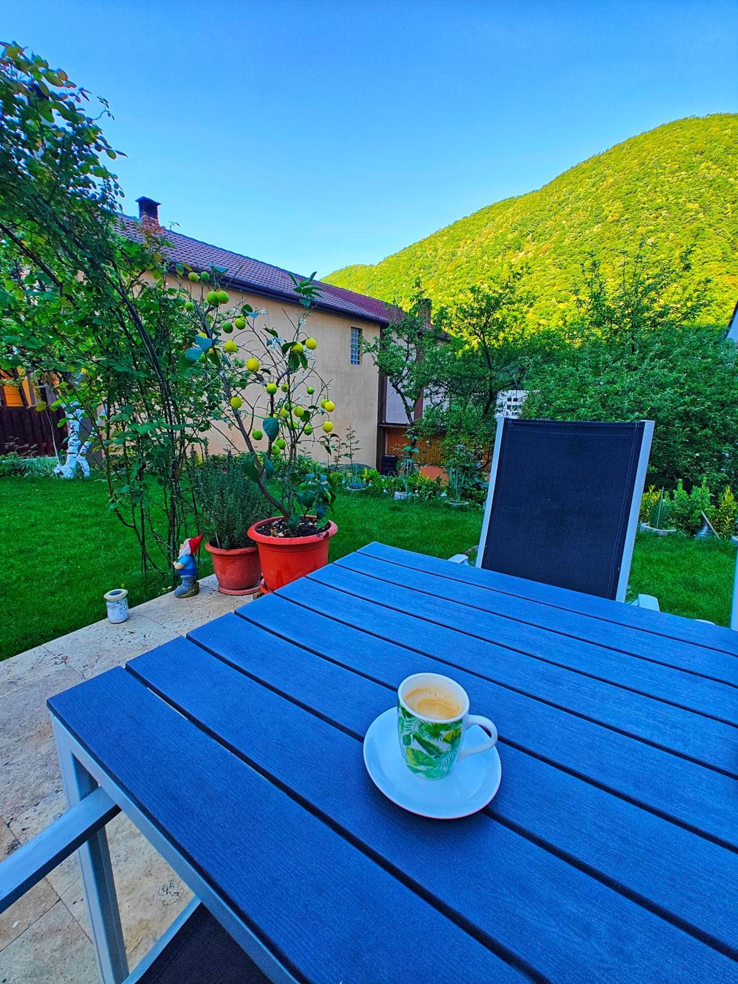 Appartement Casa Miclau à Băile Herculane Extérieur photo