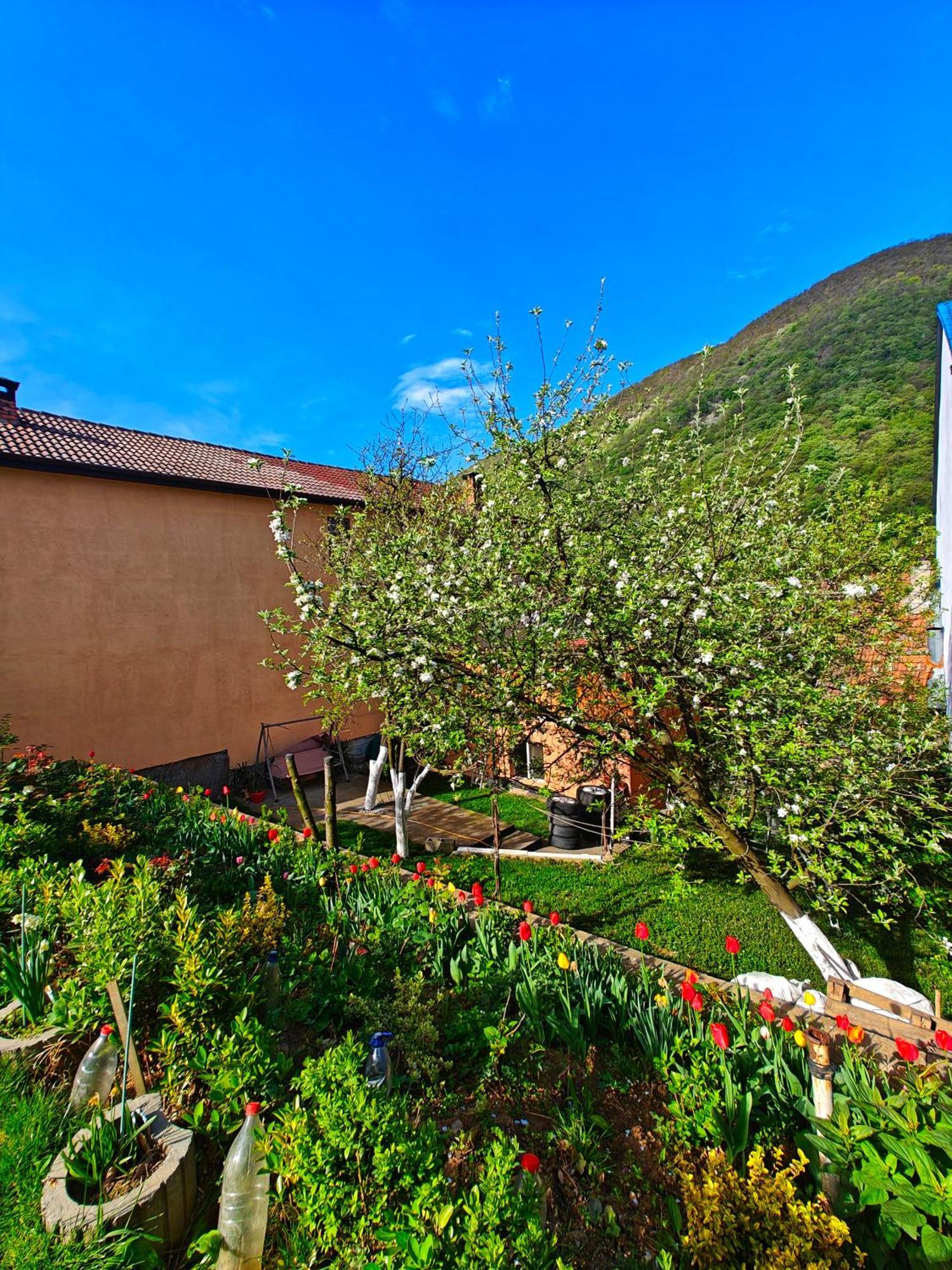 Appartement Casa Miclau à Băile Herculane Extérieur photo