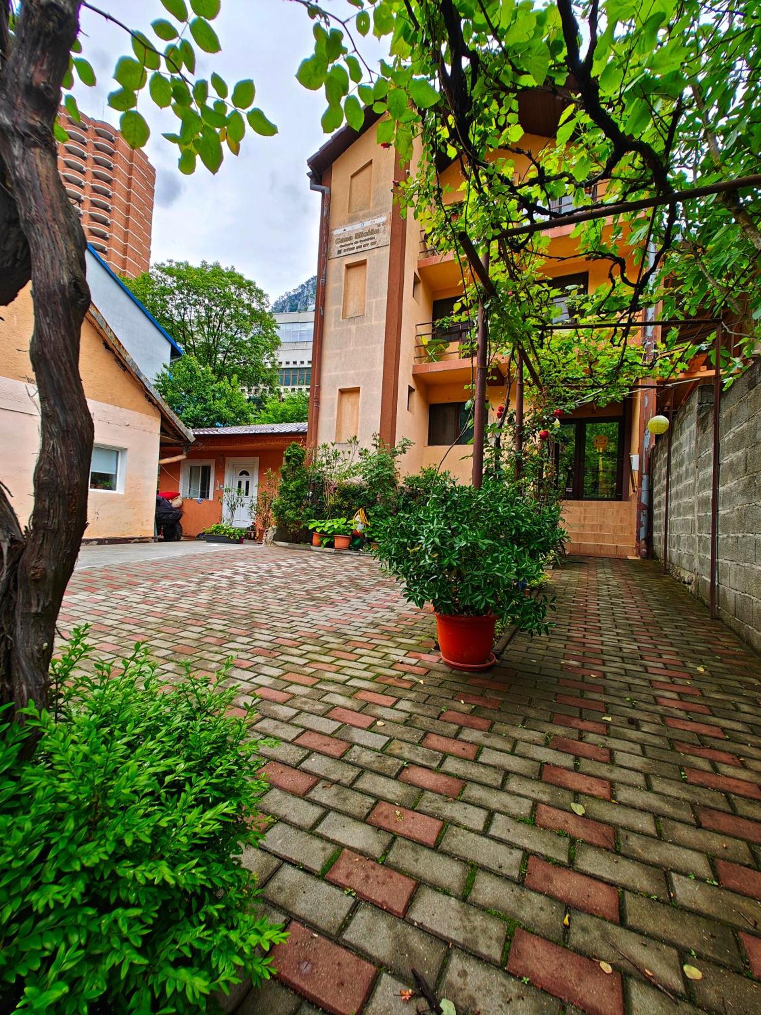 Appartement Casa Miclau à Băile Herculane Extérieur photo