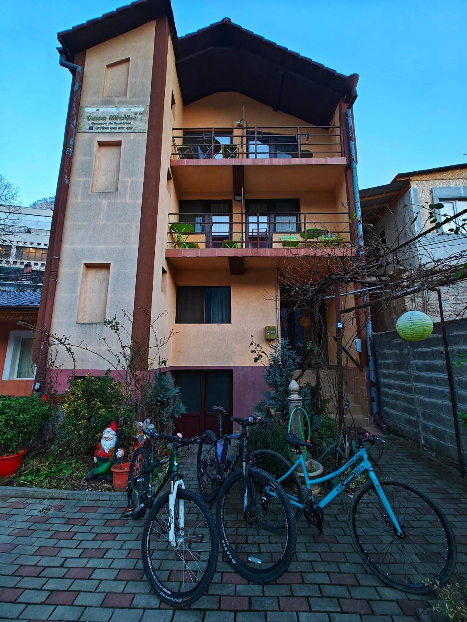 Appartement Casa Miclau à Băile Herculane Extérieur photo