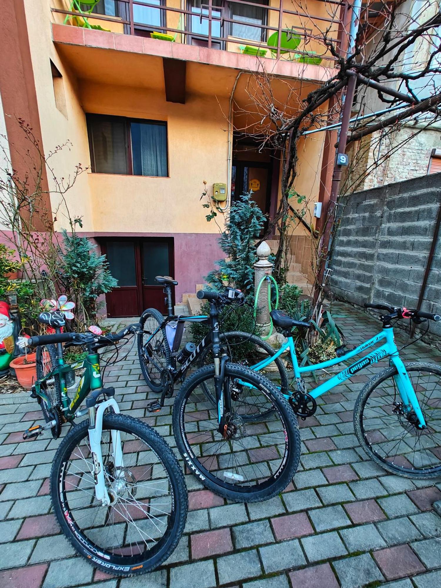 Appartement Casa Miclau à Băile Herculane Extérieur photo